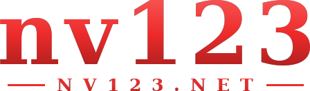 nv123 logo